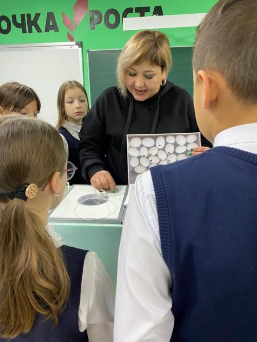 Балтач гимназиясе укучылары һөнәр үзләштерә (фото)