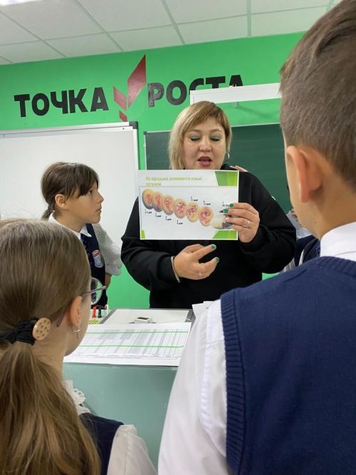 Балтач гимназиясе укучылары һөнәр үзләштерә (фото)