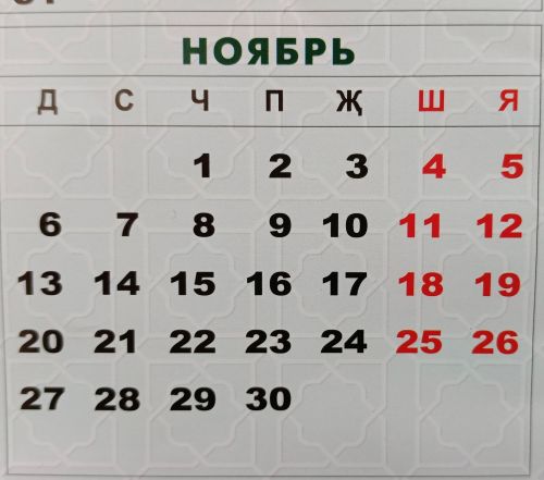 Калык огазеяськон нунал-а яке 7 ноябрь-а?