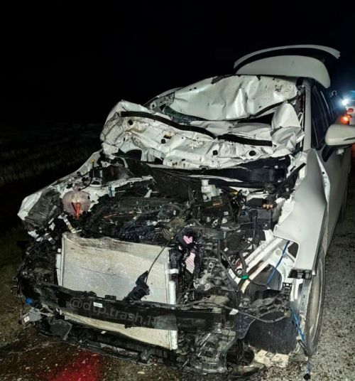 Әлмәт районында чит ил автомобиле ат белән колынны бәрдергән
