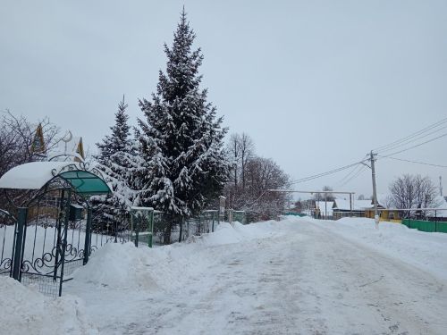 Көшкәтбашлылар кемгә рәхмәтле? (фото)