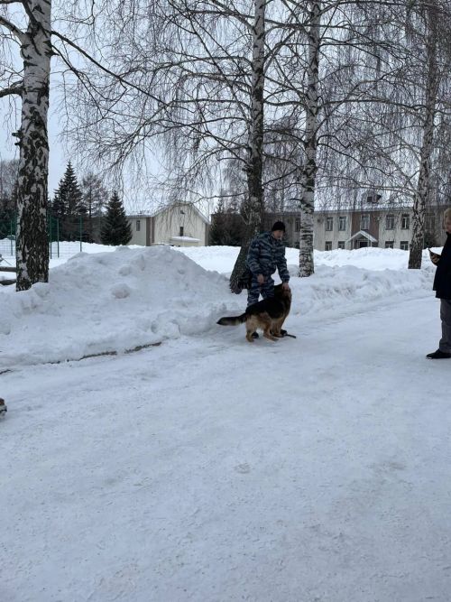 Балтач мәктәбенең “Яшьармия”челәре Казанга ни өчен барган? (фото)