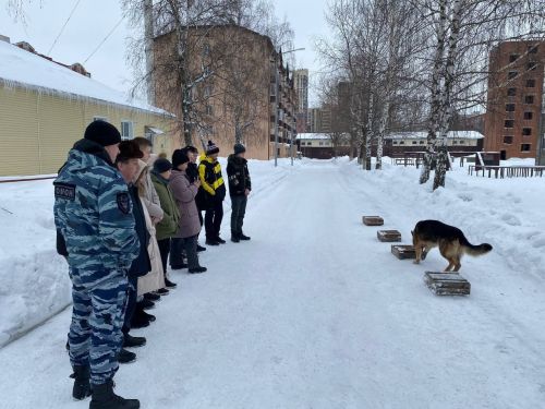 Балтач мәктәбенең “Яшьармия”челәре Казанга ни өчен барган? (фото)