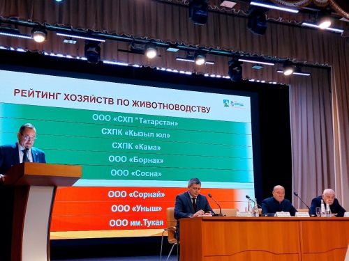 Балтачта ел йомгакларына багышланган утырыш үтте (фото)