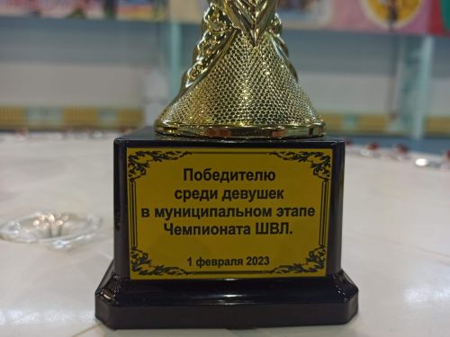 Балтачта иң оста волейболчылар ачыкланды (фото)