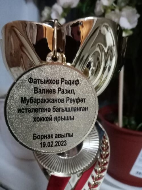 Борнакта мәрхүм булган егетләр истәлегенә хоккей ярышы узды (фото)