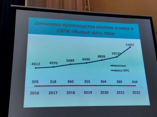 «Кызыл юл»лылар хисап тотты. Нәтиҗәләр куандырырлыкмы? (+бик күп фото)