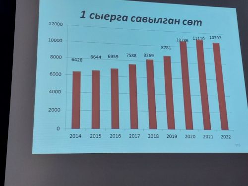 «Кызыл юл»лылар хисап тотты. Нәтиҗәләр куандырырлыкмы? (+бик күп фото)