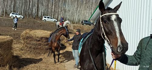 Балтачта нәтиҗәләр ясадылар. Нәрсәгә? (фото)