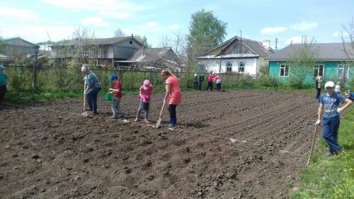 Инде күрше бәрәңге утырткан, соңа калмаска иде...