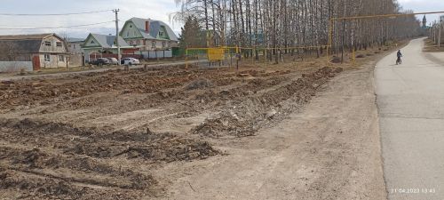 Балтачта ни сәбәпле каеннарның гомере кыскарды?
