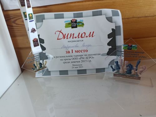 Балтачның нәни шахматчылары зур җиңүләр белән кайтты (фото)