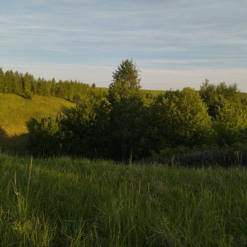 Ялларга һава торышын фаразладылар