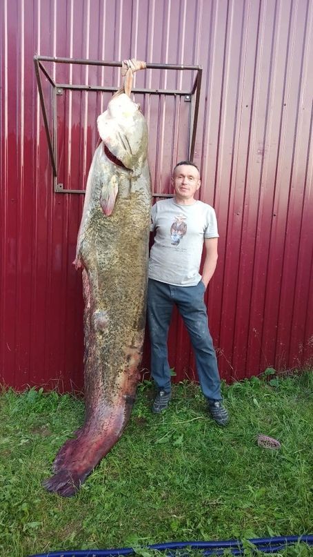 Булат Хәйруллин: «Мондый балык гомергә бер генә эләгергә мөмкин»