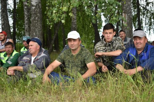 Иген кырлары комбайннарны сәламләгәндәй тирбәлеп каршы алды (фото)