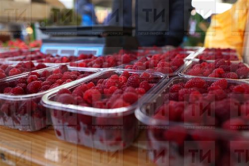 Буыннар сызлавын да баса...