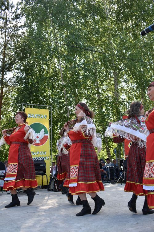 Жингыр вазиз «Гырон быдтон» (фоторепортаж)
