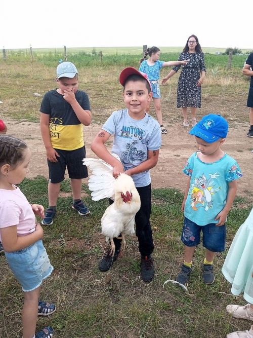 Яңгулда Гаилә бәйрәме узды (фото)