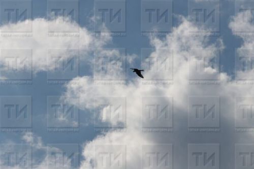 Атыш булган: бер ир-ат яраланган