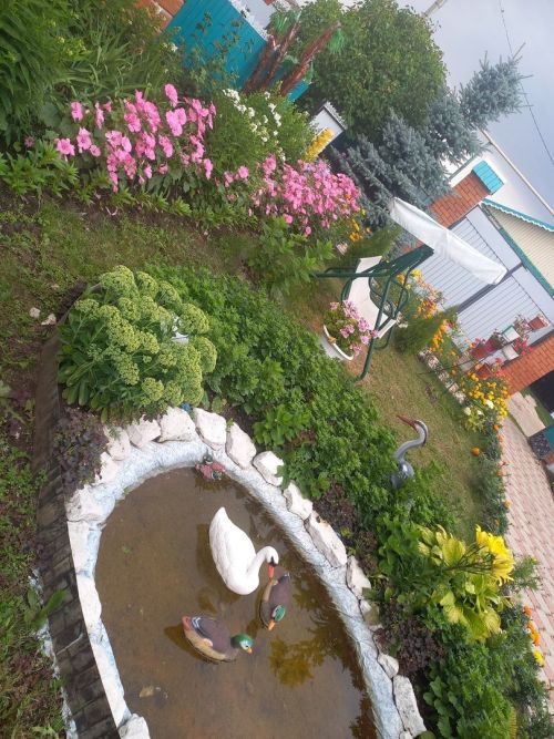 Раушания Гайнуллинаның чәчәкләре белән хозурланыйк әле (фото)