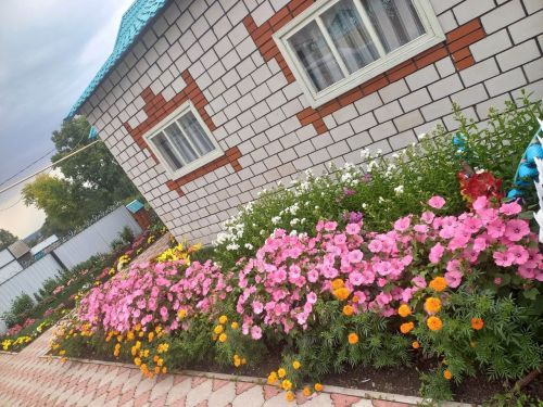 Раушания Гайнуллинаның чәчәкләре белән хозурланыйк әле (фото)