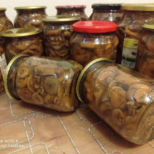 Лилия Әскаровадан гөмбә маринадлау рецепты