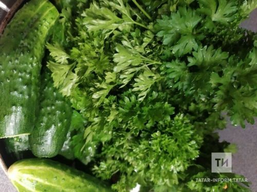 Кыяр тозлау һәм маринадлау өчен берничә рецепт
