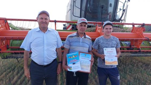 «Кызыл юл» күмәк хуҗалыгы комбайнчылары батырлык үрнәкләре күрсәтеп эшлиләр  (фото)