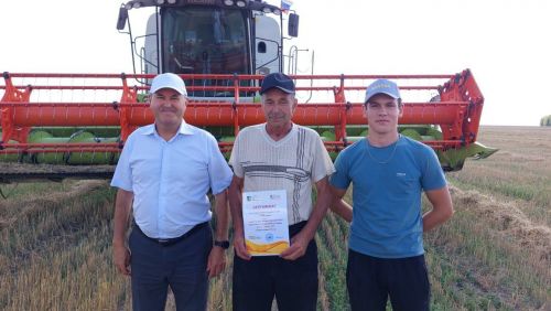 «Кызыл юл» күмәк хуҗалыгы комбайнчылары батырлык үрнәкләре күрсәтеп эшлиләр  (фото)