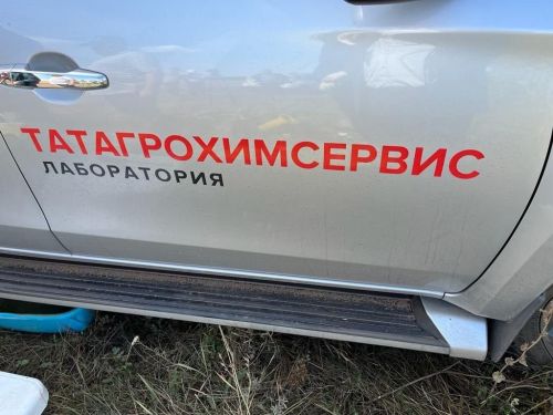 «Сорнай» хуҗалыгы кукурузының уңышына белгечләр карашы (фото)