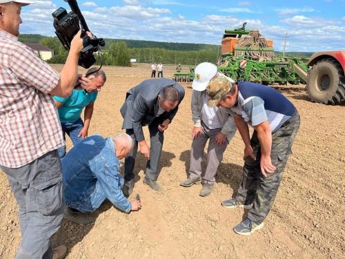 «Сорнай» хуҗалыгы кукурузының уңышына белгечләр карашы (фото)