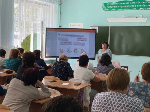 Татар теле һәм әдәбияты укытучыларының август киңәшмәсе (фото)