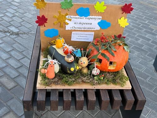 Балтач китапханәчеләре республика көненә бик матур күргәзмә әзерләде (фото)