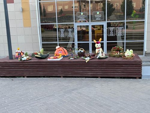 Балтач китапханәчеләре республика көненә бик матур күргәзмә әзерләде (фото)