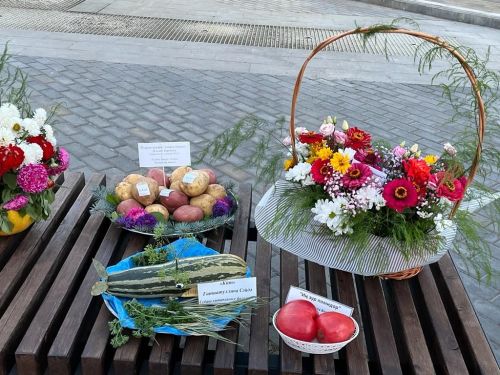 Балтач китапханәчеләре республика көненә бик матур күргәзмә әзерләде (фото)