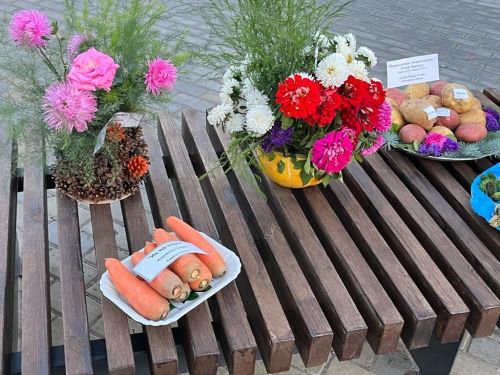 Балтач китапханәчеләре республика көненә бик матур күргәзмә әзерләде (фото)