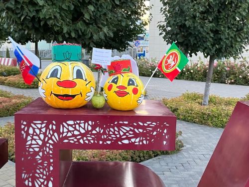 Балтач китапханәчеләре республика көненә бик матур күргәзмә әзерләде (фото)