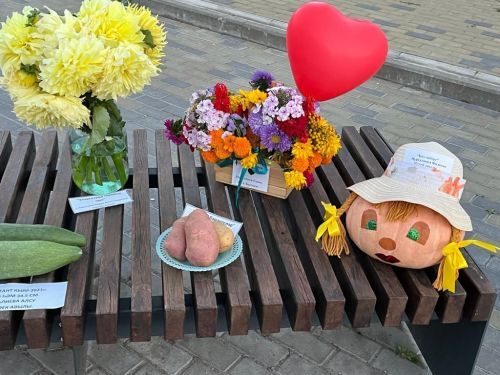 Балтач китапханәчеләре республика көненә бик матур күргәзмә әзерләде (фото)
