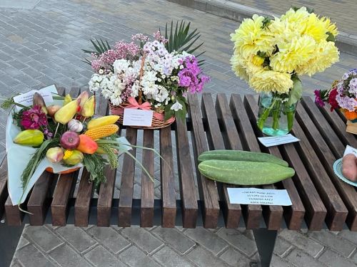 Балтач китапханәчеләре республика көненә бик матур күргәзмә әзерләде (фото)