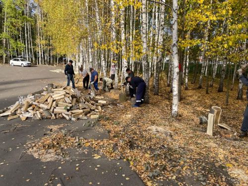 Балтачта карт агачларны кисеп, территорияне тәртипкә китерәләр (фото)