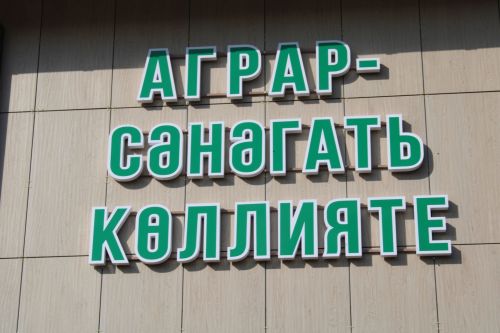 Әйтергә курыккан хыял