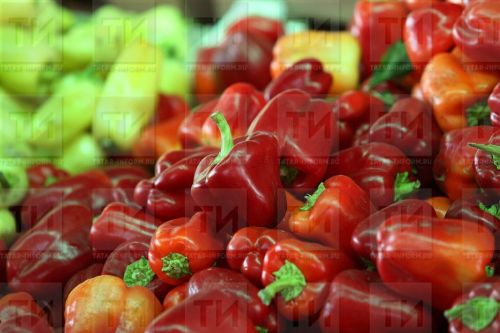 Орлыклар әзерлибез. «Моның өчен бик кулай вакыт»