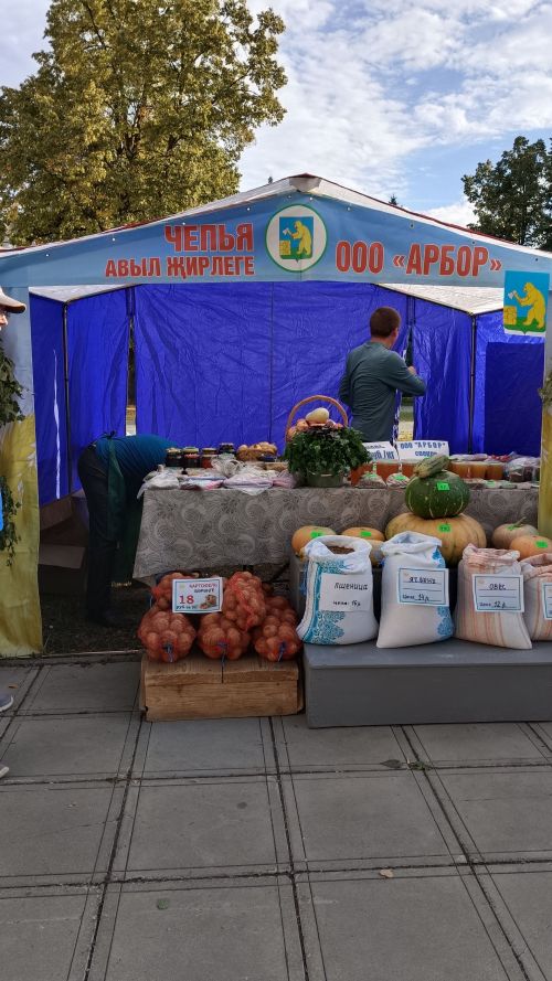 Балтась ёрос Казаньын ма возьматӥз?