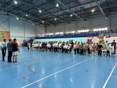 Балтачта бадминтон буенча район беренчелеге узды (фото)