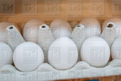 Йомырканы кемнәргә ашарга ярый һәм кемнәргә ашау тыела?