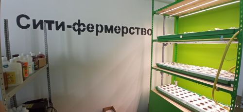 Кәрим Хәйруллин осталык чемпионатының төбәк этабында җиңү яулады (фото)