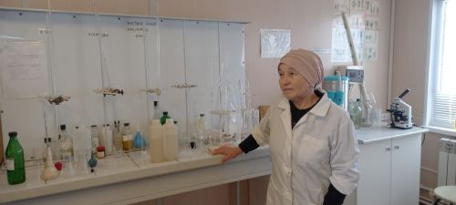 ТРның Тарифлар буенча дәүләт комитеты рәисе Балтачның свалка территориясен зурайтырга дигән тәкъдим кертте (фото)