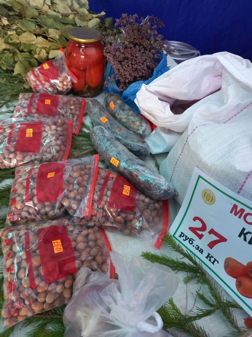 Укучыларыбыз арасында Казанда яшәүчеләр бармы? Сез ярминкәләргә йөрисезме?