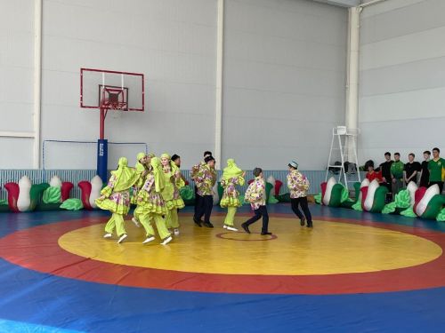 Васыйл Гарифуллин истәлегенә узучы бәйгегә Актаныш, Мари Иленнән дә килгәннәр ( + фотолар)
