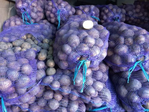 Укучыларыбыз арасында Казанда яшәүчеләр бармы? Сез ярминкәләргә йөрисезме?